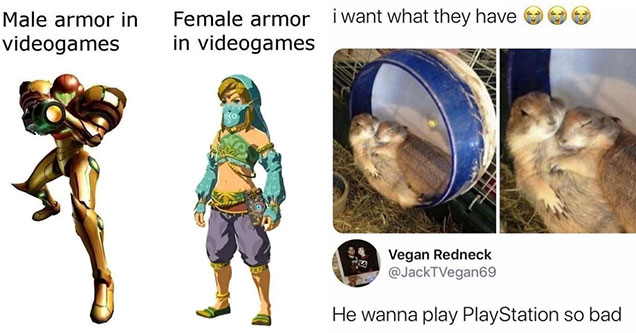 funny gaming memes -  male armor in video games -  female armor invideogames -  samus and link - I want what they have -  two hamsters cuddling -  he wanna play playstation so bad