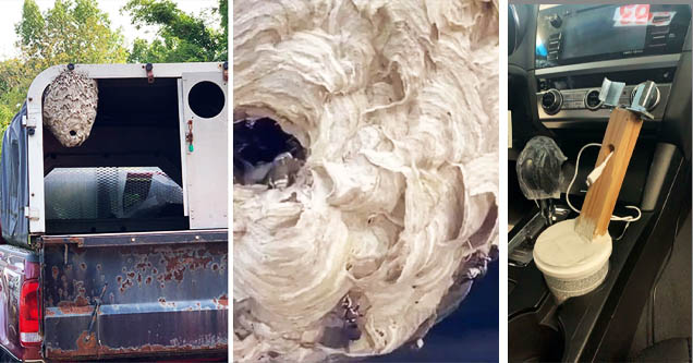 wasp nest fixed to truck, DIY wire holder for car