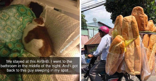 sleep well little human - issues We stayed at this AirBnB. I went to the bathroom in the middle of the night. And i got back to this guy sleeping in my spot... | giant bread -