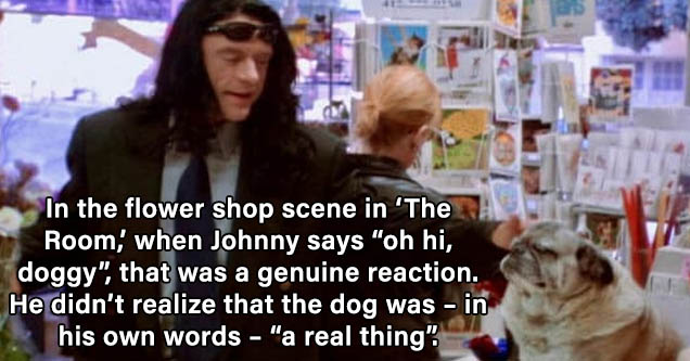 tommy wiseau hi doggy - Remarkablin sel - In the flower shop scene in 'The Room,' when Johnny says 'oh hi, doggy,' that was a genuine reaction. He didn’t realize that the dog was – in his own words – 'a real thing'