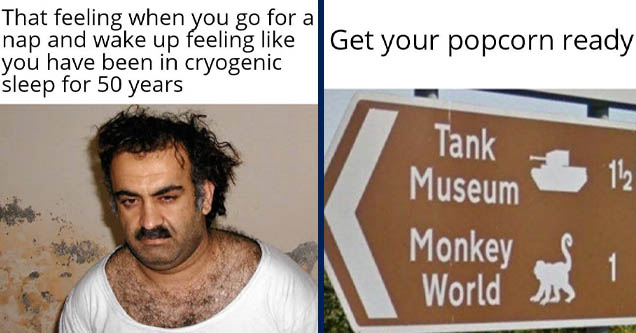 khalid sheikh mohammed - That feeling when you go for a nap and wake up feeling you have been in cryogenic sleep for 50 years | nuclear spiders vs tank monkeys - Get your popcorn ready 112 Tank Museum Monkey World 1 1