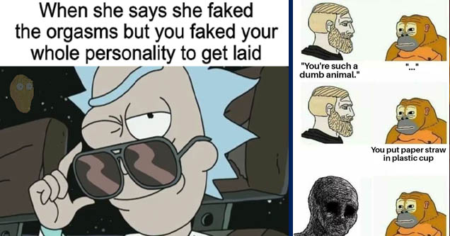 rick and morty rick - When she says she faked the orgasms but you faked your whole personality to get laid | chad monke meme - Hi 11