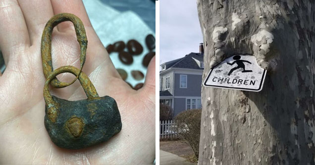 warped lock, sign eaten by tree