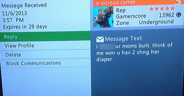 xbox live comment about having sex with someone's mom -  how online gaming has shaped online communication