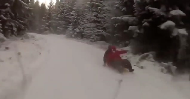 car almost hits sled