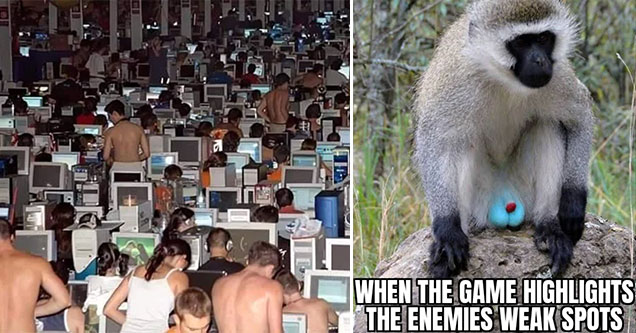 funny gaming memes -  lan party -  when the game highlights the enemies weak spots -  monkey with blue balls