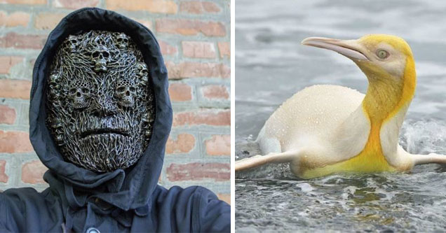 a creepy mask and a yellow penguin