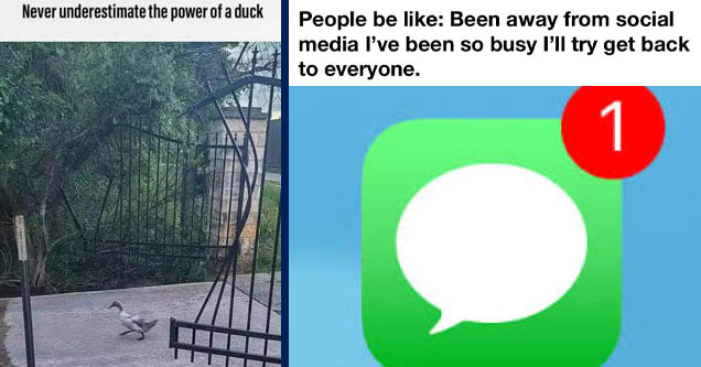 never underestimate the power of a duck - Never underestimate the power of a duck | circle - People be Been away from social media I've been so busy I'll try get back to everyone. 1 Messages made with mematic