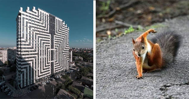 weird building, cool squirrel