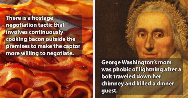 bacon fact, washington mom