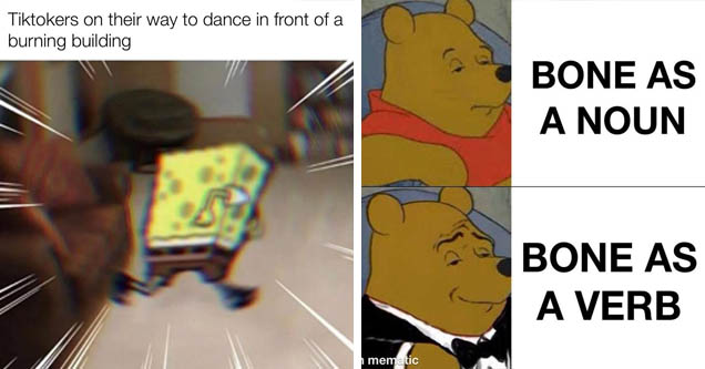 spongebob facts meme - Tiktokers on their way to dance in front of a burning building made with mematic | posh winnie the pooh meme - Bone As A Noun Bone As A Verb made with mematic