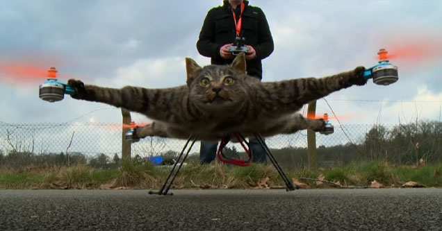 bart jenson cat drone