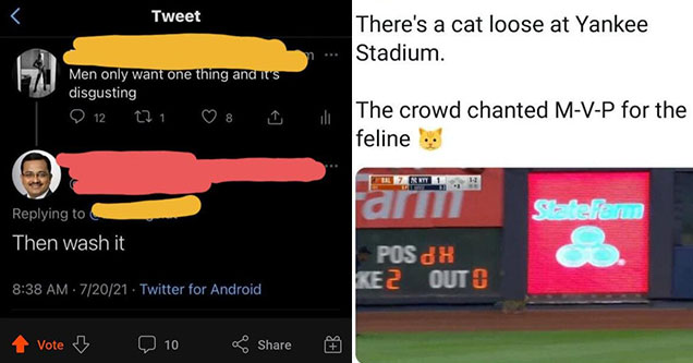 funny comments and comebacks -  men only want one thing and it's disgusting -  then wash it -  a cat ran onto the field and the fans started chanting M-V-P