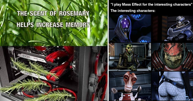 funny gaming memes -  the scent of rosemary helps increase memory -  pc full of rosemary - I play Mass Effect for the interesting characters -  the characters