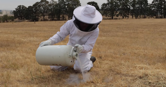 a man in a bee suit pouring liquid nitrogen into a yellow jacket nest