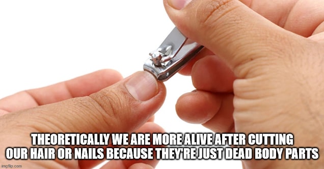 finger nail clippers