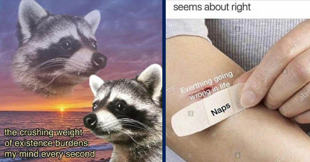 inspiring raccoon meme - il nocturnallashposts the crushing weight of existence burdens my mind every second | all my life problems meme - seems about right a Everthing going wrong in life Alamy alamy a Naps alamy a alam a a