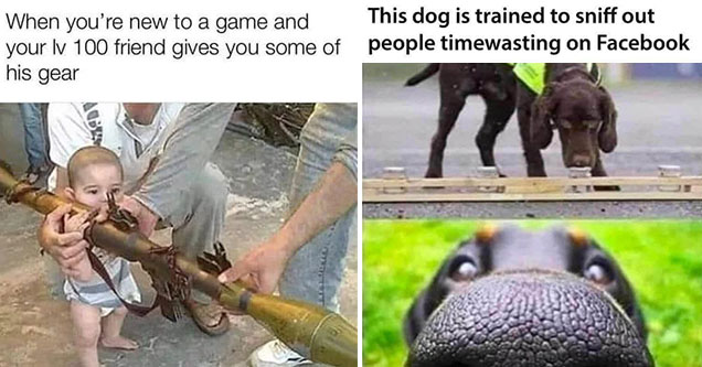 funny gaming memes -  when you're new to a game and your friends give you level 100 gear -  this dog has been trained to sniff out people wasting time on Facebook