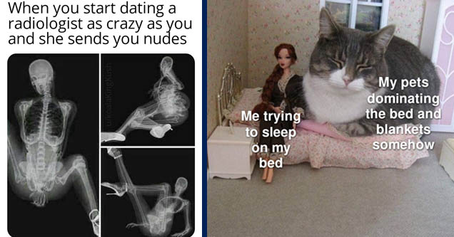 radiologist nudes - When you start dating a radiologist as crazy as you and she sends you nudes ukoalaking kush | cats in dollhouses - Me trying to sleep on my bed My pets dominating the bed and blankets somehow made with mematic