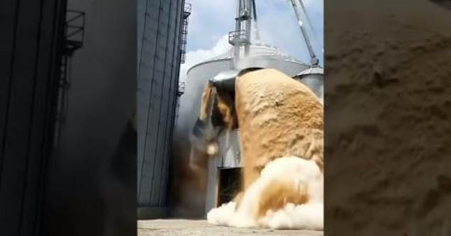 Grain silo collapses