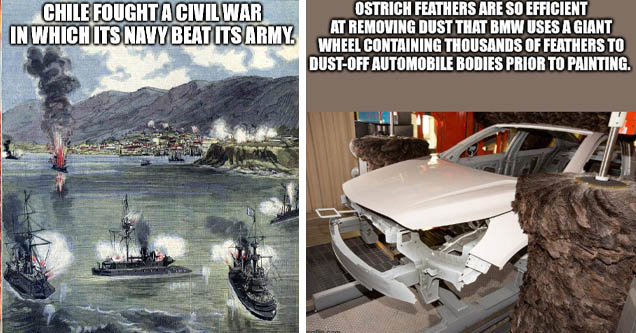 chile civil war - Chile Fought A Civil War In Which Its Navy Beat Its Army. imgflip.com | car - Ostrich Feathers Are So Efficient At Removing Dust That Bmw Uses A Giant Wheel Containing Thousands Of Feathers To DustOff Automobile Bodies Prior To Painting.