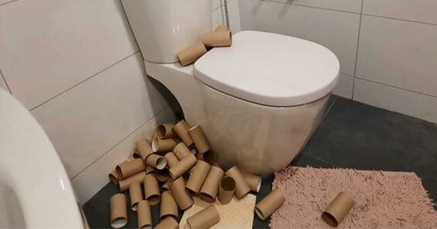 toilet and trash