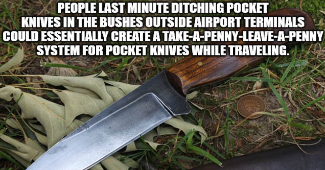 nathalia freitas - People Last Minute Ditching Pocket Knives In The Bushes Outside Airport Terminals Could Essentially Create A TakeAPennyLeaveAPenny System For Pocket Knives While Traveling. imgflip.com