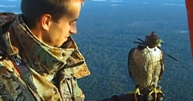 a man holding a peregrine falcon