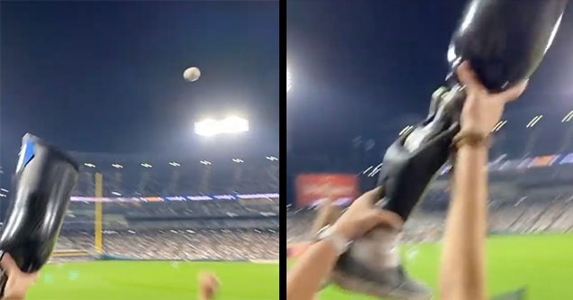 prosthetic leg catch