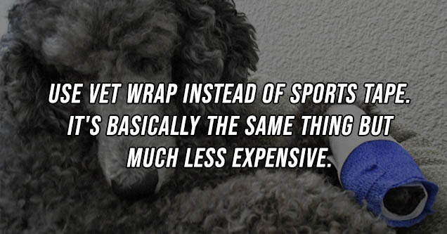 dog - Use vet wrap instead of sports tape. It's basically the same thing but much less expensive.