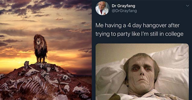 funny pictures, funny memes |april o neil tmnt cosplay | no carbs meme - Dr Grayfang Me having a 4 day hangover after trying to party I'm still in college