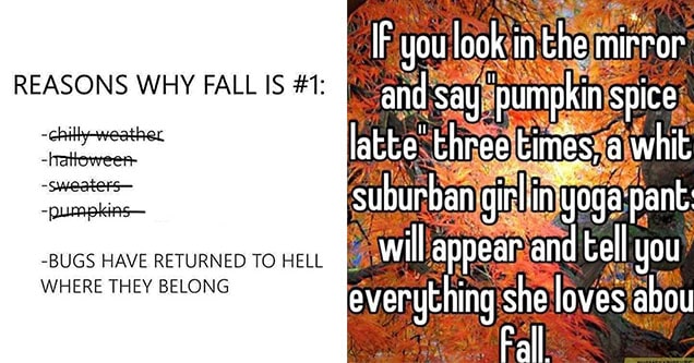 fall memes