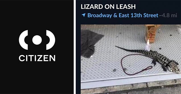 citizen app lizard on leash