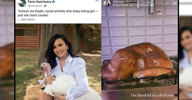 demi lavato with a turkey and then a cooked one