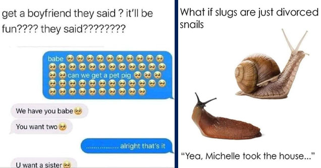 get a boyfriend they said it ll - get a boyfriend they said ? it'll be fun???? they said???????? babe 50 g can we get a pet pig We have you babe You want two .......alright that's it U want a sister | if slugs are just divorced snails - What if slugs are 