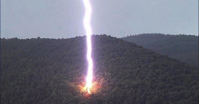 lightning striking a tree