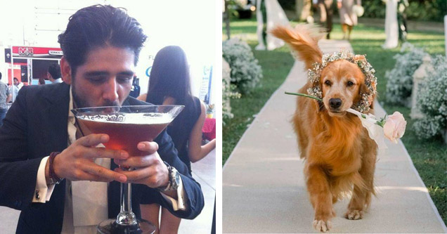 a guy drinking a huge glass of wine or beer and a flower dog at a wedding