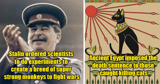 disturbing and strange facts from history -  Stalin wanted to create super soldier fighting monkeys -  killing cats was punishable by death in Egypt