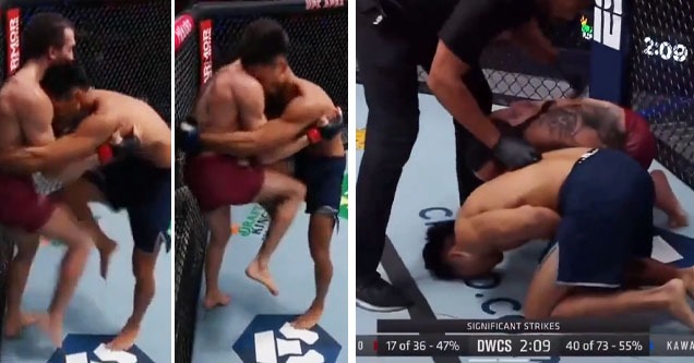 UFC fighters hit mutual nutshots on each other