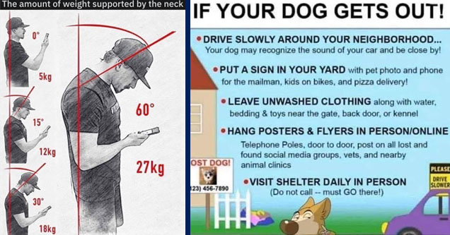 shoulder - The amount of weight supported by the neck g 60 g 27kg g | cartoon - If Your Dog Gets Out! Drive Slowly Around Your Neighborhood... Your dog may recognize the sound of your car and be close by! Put A Sign In Your Yard with pet photo and phone f