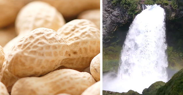 What Exactly is Nonstop Nut November?