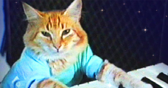 The Keyboard Cat Story You Never Knew