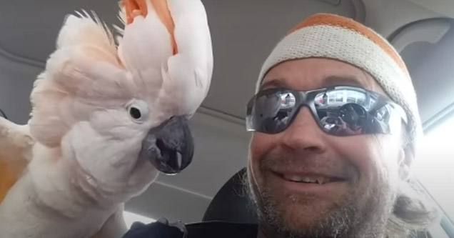 a man and his pet cockatoo