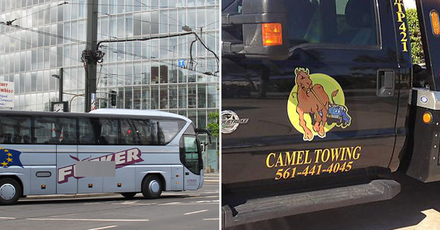 unfortunate but funny company names -  Camel Towing -  German tour bus company named Fucker