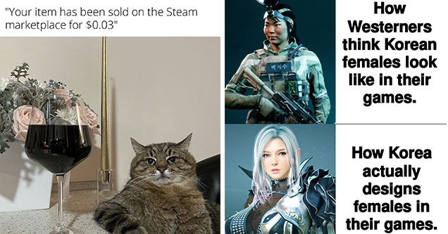 funny gaming memes -  when your item on steam sells for 3 cents -  cat drinking wine -  how westerner think koreans look in games vs how Koreans make themselves look in games