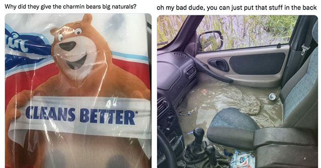 Twitter Jokes -  Why they give the Charmin bear big naturals -  hey sorry you can just move that stuff to the back - front seat flooding with brown water