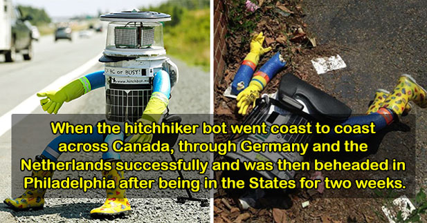 Flawed Ideas -  Hitchbot -  was beheaded in Philadelphia after being in the United States for two weeks