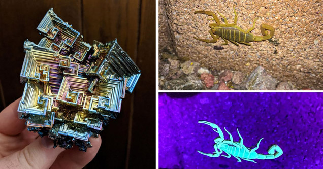 a large bismuth crystal cluster and a scorpion glowing under uv