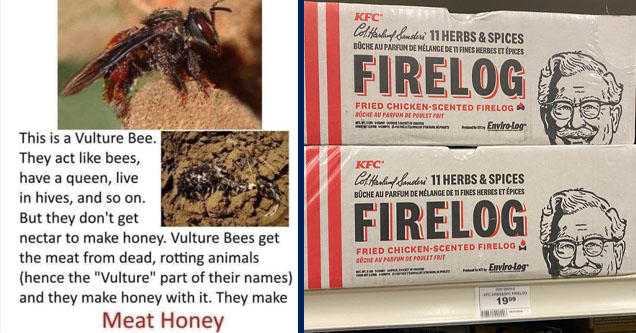 vulture bees - This is a Vulture Bee. They act bees, have a queen, live in hives, and so on. But they don't get nectar to make honey. Vulture Bees get the meat from dead, rotting animals hence the | kfc firelog