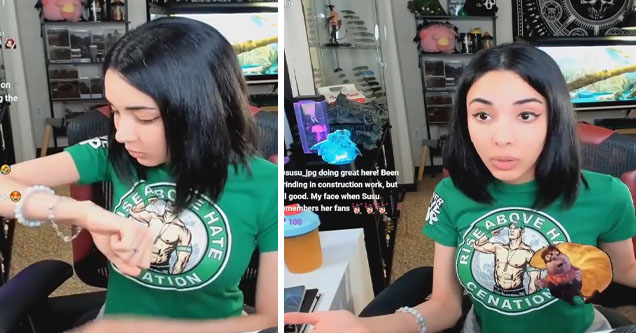 Twitch streamer @susu_jpg responds to horny troll